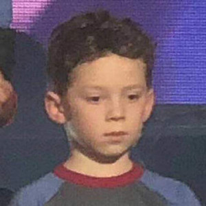 华丽网络平台三级黄色视频
