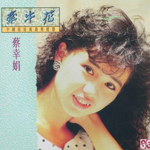 华丽网络平台三级黄色视频
