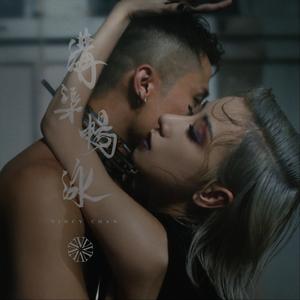 华丽网络平台三级黄色视频
