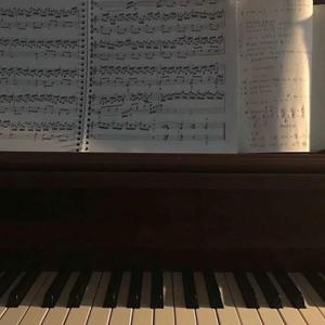 华丽网络平台三级黄色视频
