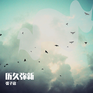 华丽网络平台三级黄色视频
